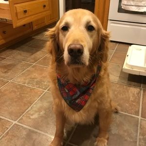 Meet your Posher, Fred